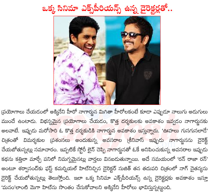 nag chaithnya upcoming films,nagarjuna upcoming films,nagarjuna with new director avasarala srinivas,nag chaithnya with director suzith,run raja run,uhalu gusagusalade  nag chaithnya upcoming films, nagarjuna upcoming films, nagarjuna with new director avasarala srinivas, nag chaithnya with director suzith, run raja run, uhalu gusagusalade